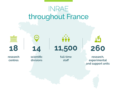 INRAE troughout France : 18 centers, 14 scientific divisions, 11500 full-time staff, 260 research, experimental and support units